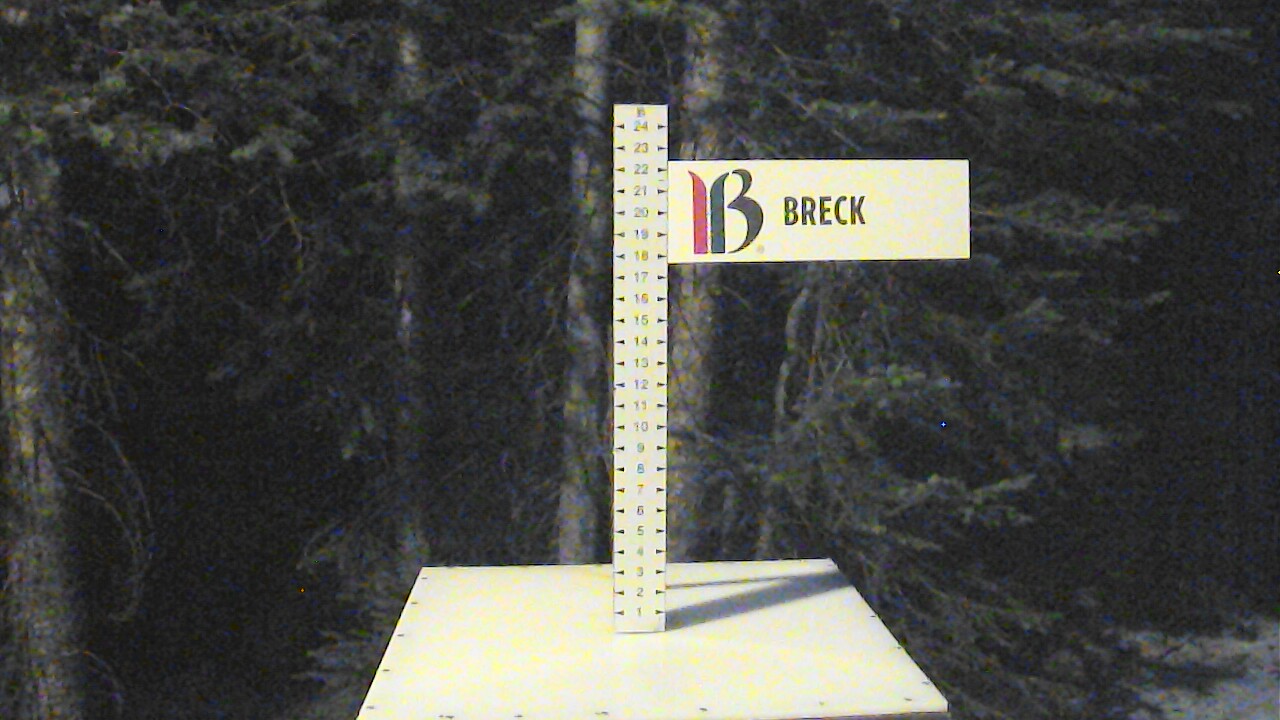 Snow Stake