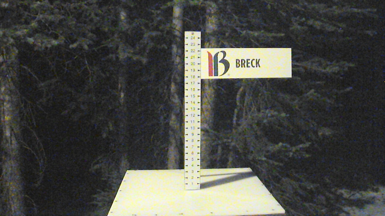 Snow Stake
