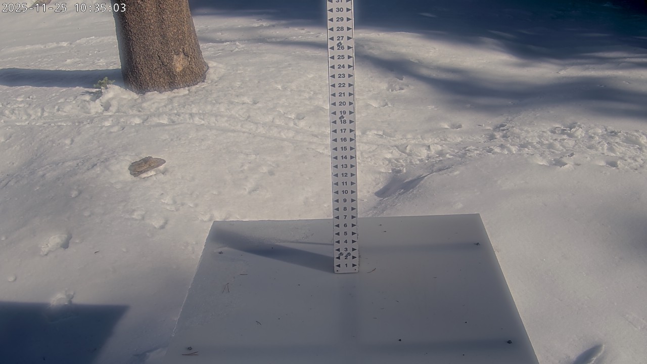 Snow Stake - 5 Minute Refresh