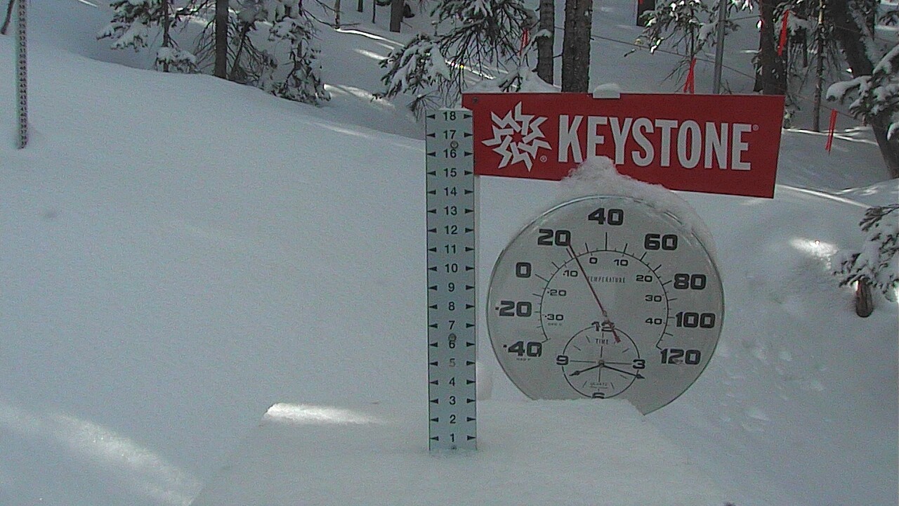 Snow Stake