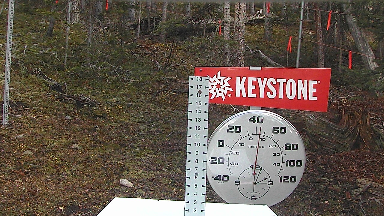 Snow Stake
